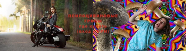 марки lsd Кинешма